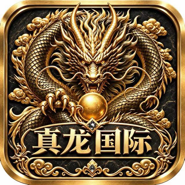 真龙国际